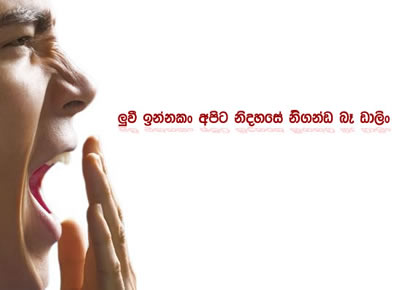 Mortin E-Mail Marketing promotion